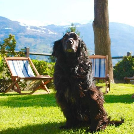 Bed & Breakfast Chez Berry Aoste Extérieur photo
