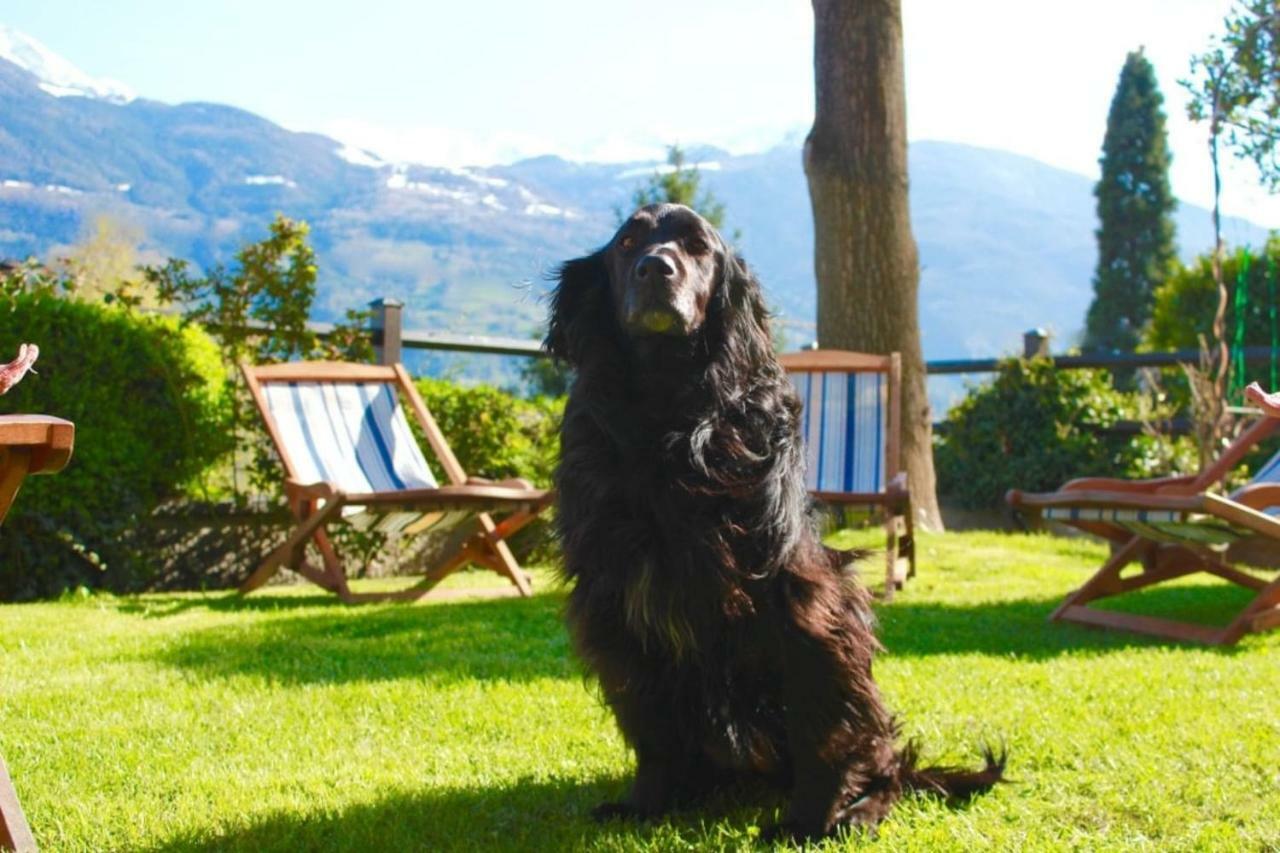 Bed & Breakfast Chez Berry Aoste Extérieur photo